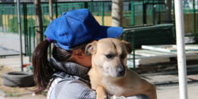 dogs2_IMG_8074
