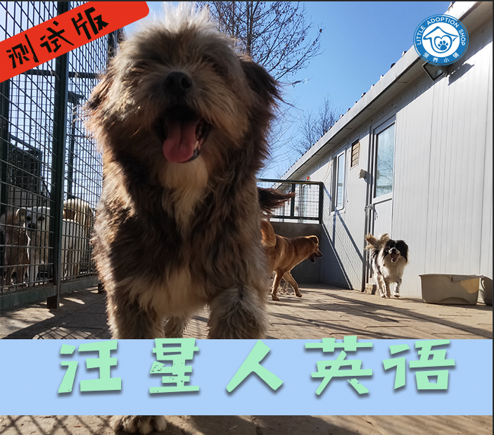 汪星人英语