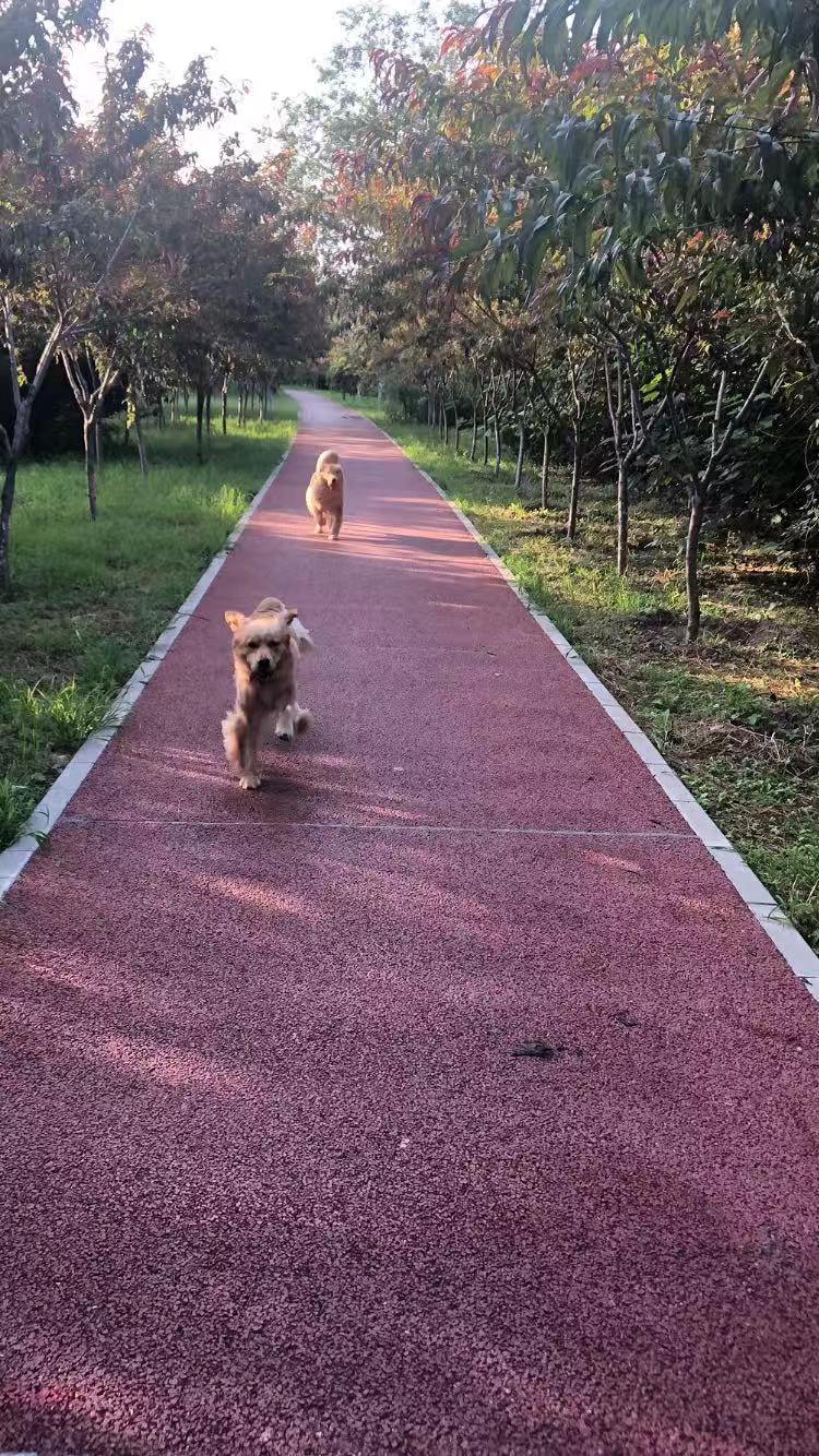 Jinjin takes the lead.