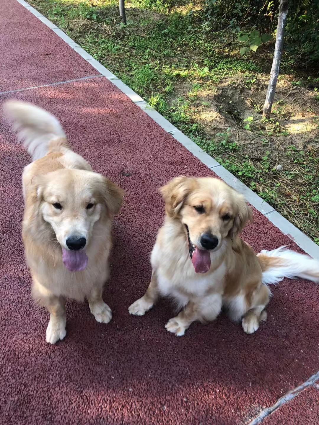 Jinjin (right) with Oso.
